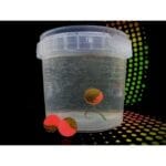 Boilies Double Boom Mix 15mm - imagine 5