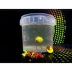 Boilies Double Boom Mix 15mm - imagine 7